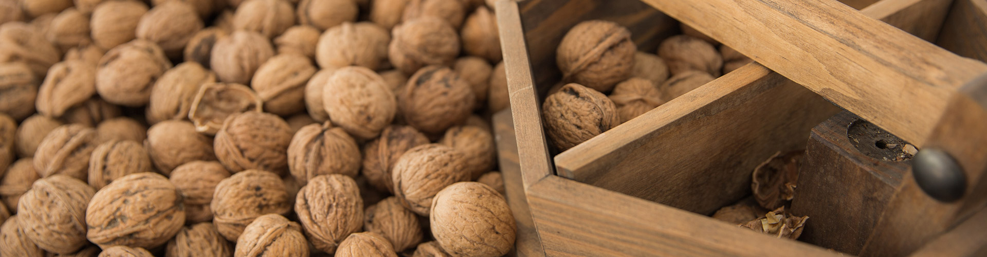 Feira Nacional dos Frutos Secos 