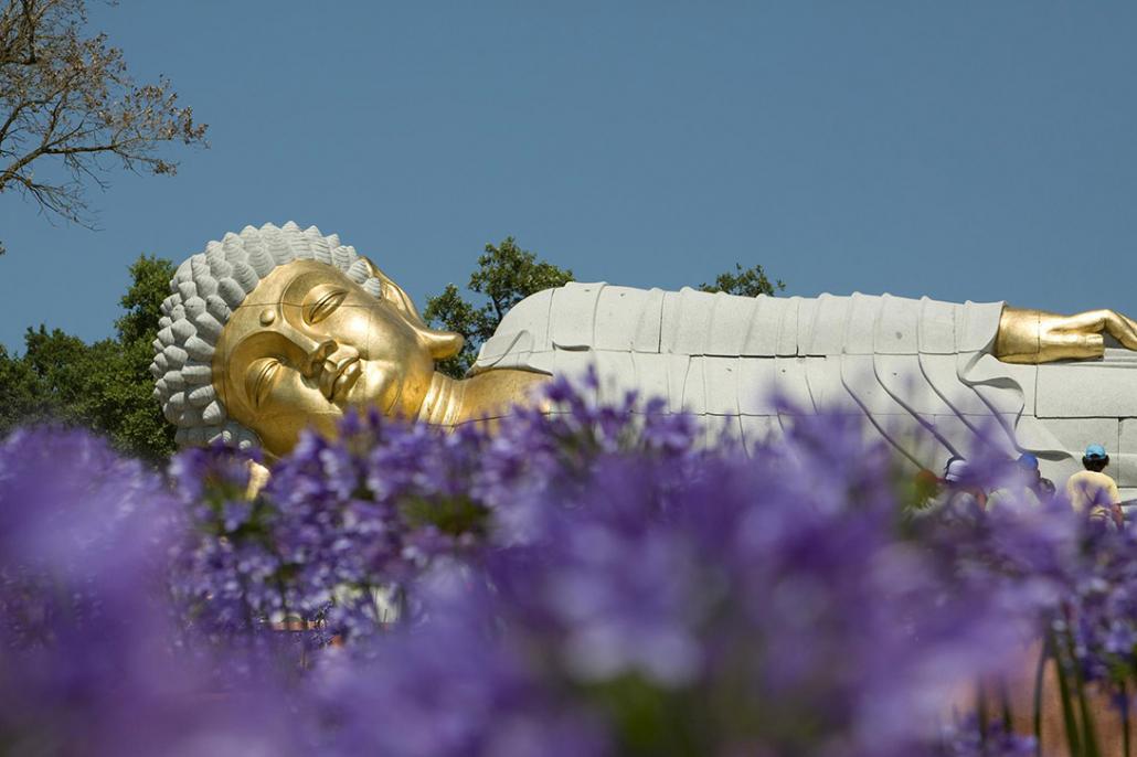 Buddha Eden Garden