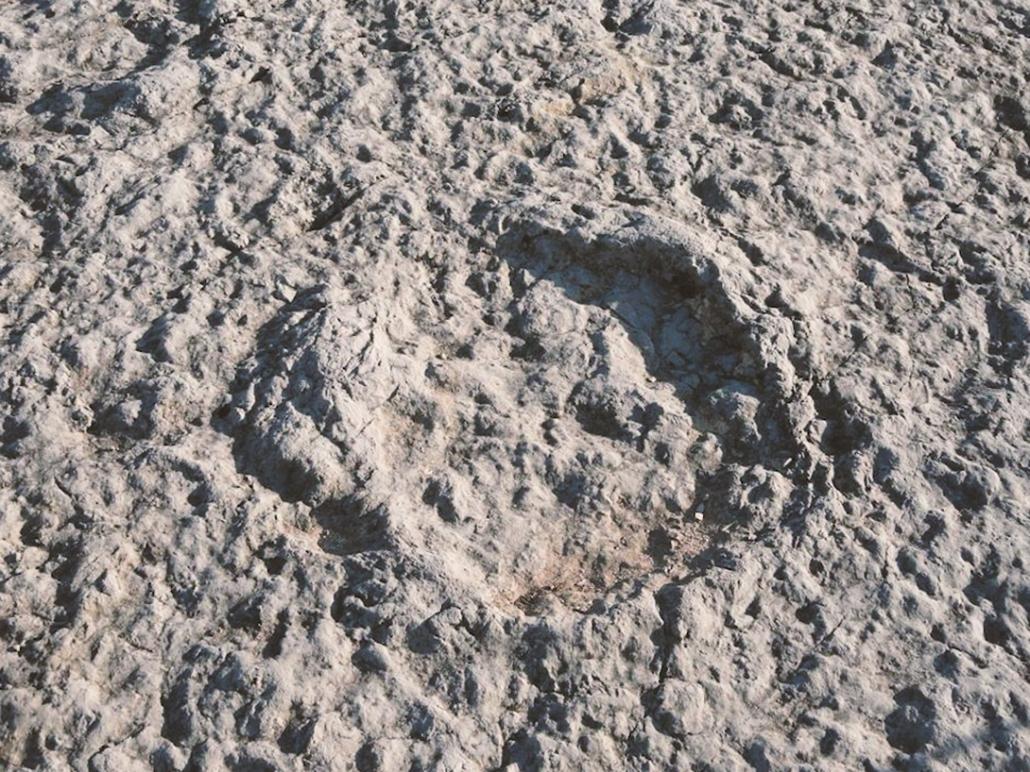 Dinosaur Footprints - InFátima