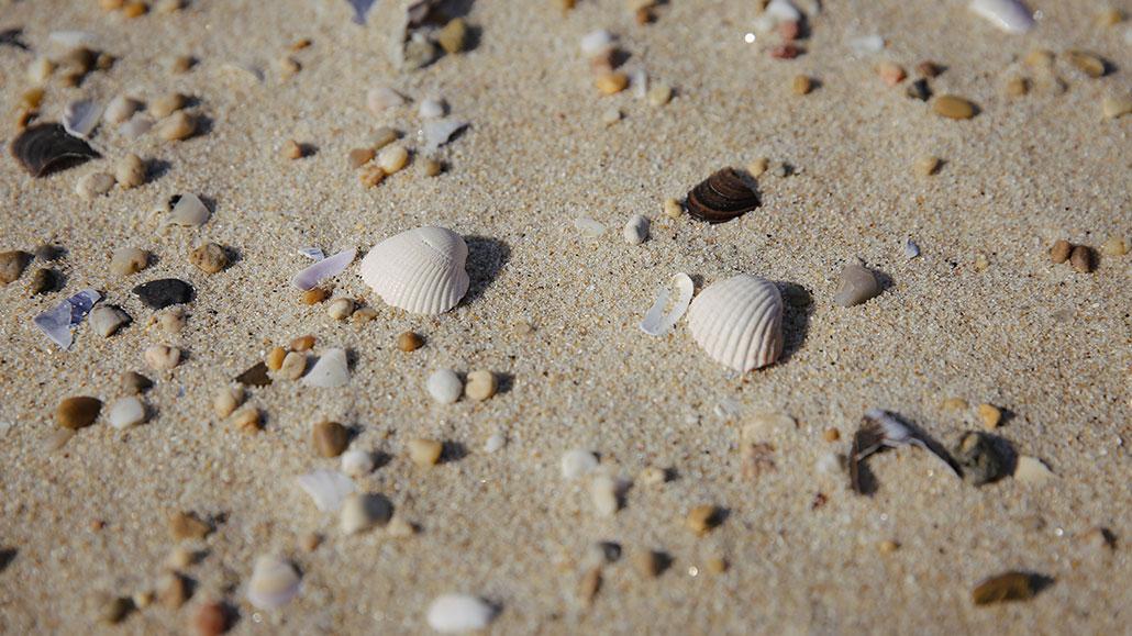 Come and explore: Sun & Sea - InFátima