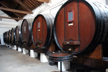 Alcobaça Wine Museum - InFátima