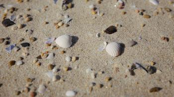 Venha explorar: Sol & Mar - 