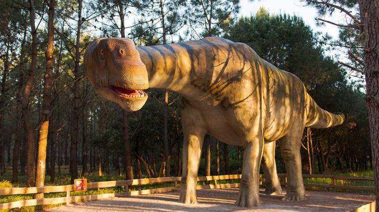 Foto: Retirada do facebook Dino Parque