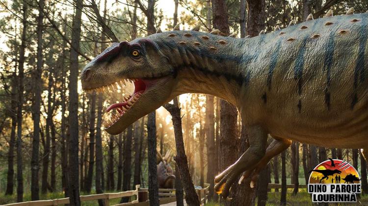 Foto: Retirada do facebook Dino Parque