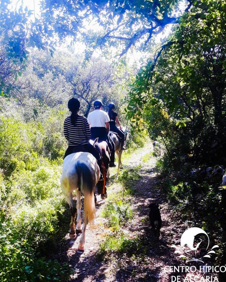 Estadia com passeio equestre - InFátima