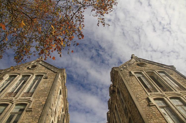 Foto: Município Caldas da Rainha