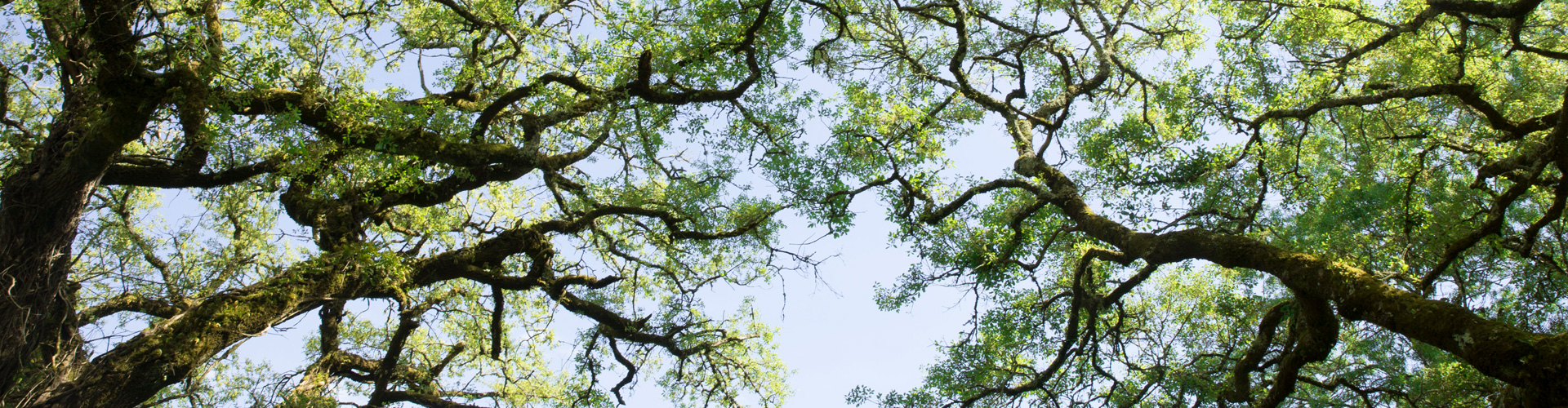 Ecoparque Sensorial da Pia do Urso 