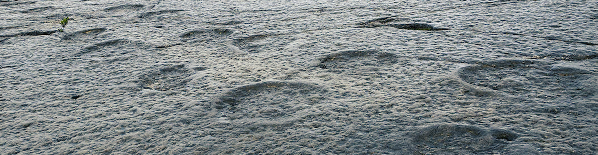 Pegadas dos Dinossauros  