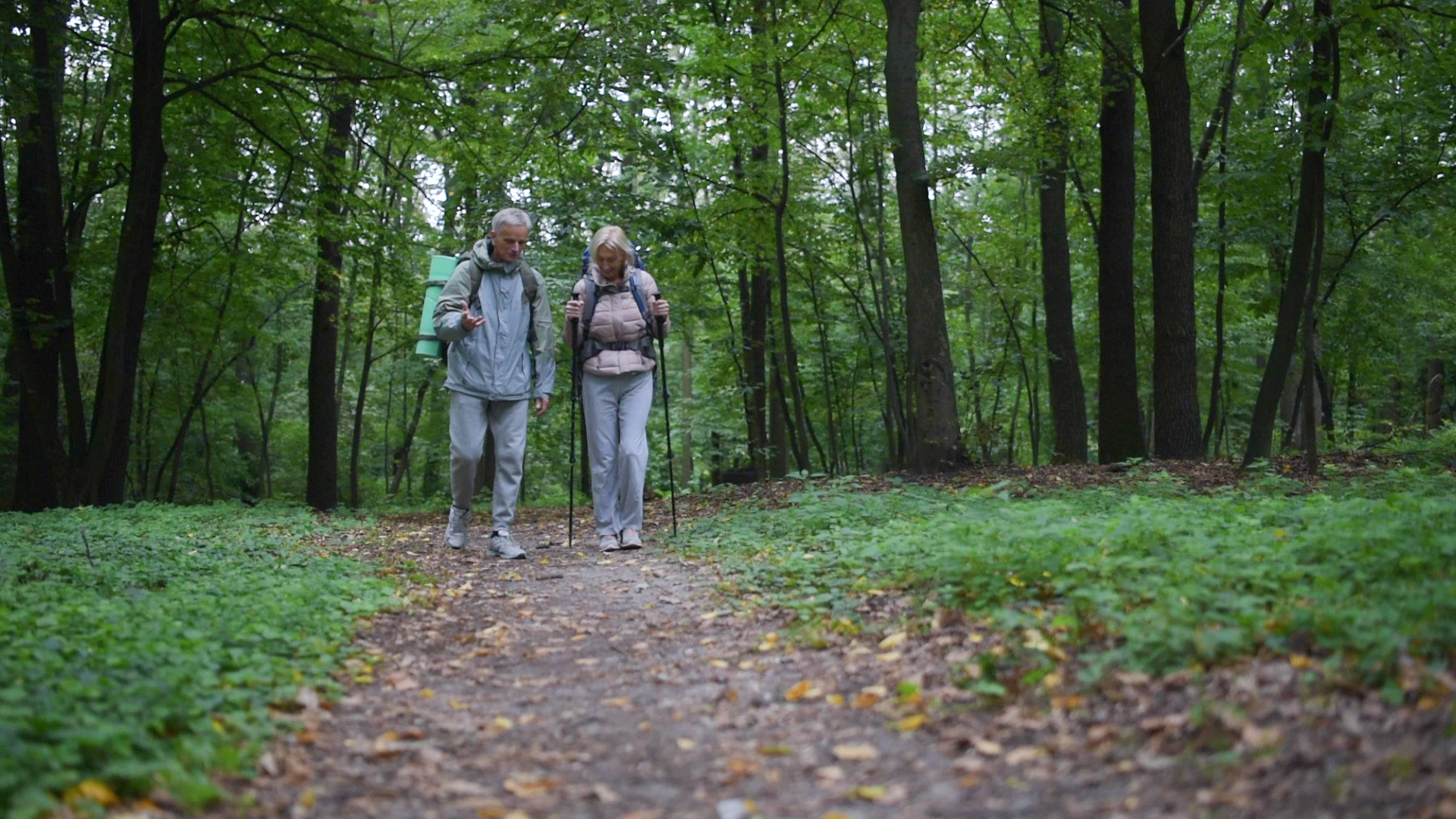 Caminho de Santiago: Associação Espaço Jacobeus